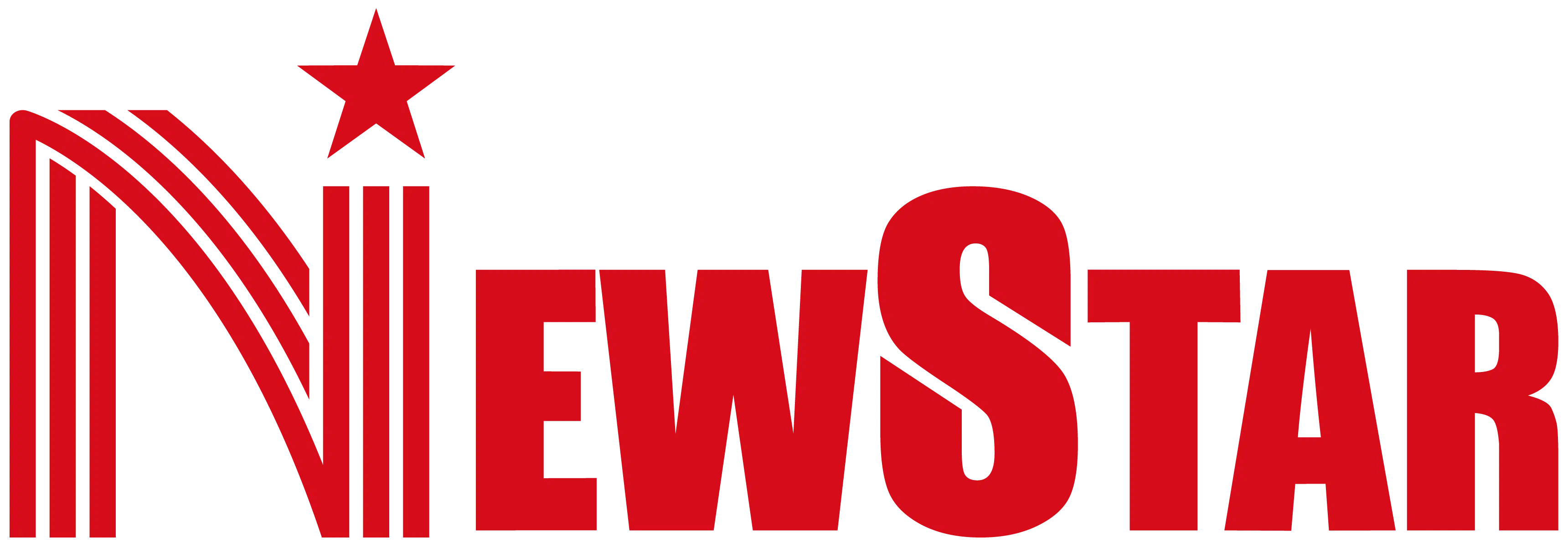 Logo Newstar2.png