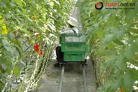 OIP 2025 12 03T163603.761